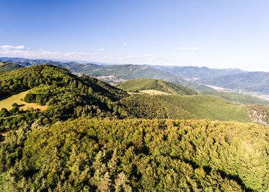 Aerial View Of Forest Gras