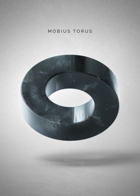 Mobius Torus