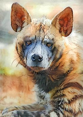 The African Hyena