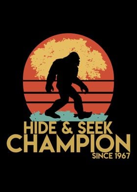 Hide and Seek Champion sin