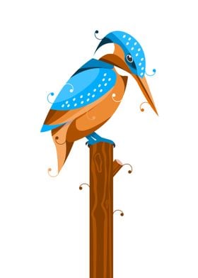 Kingfisher Bird