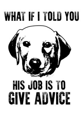 His Job Is To Give Advice 