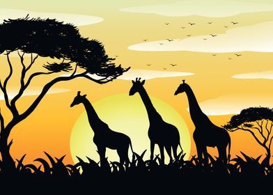 Giraffes African Landscape