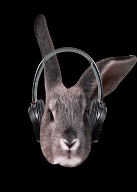 Bunny With Headphones