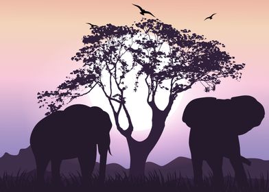 Elephants  African Savanna