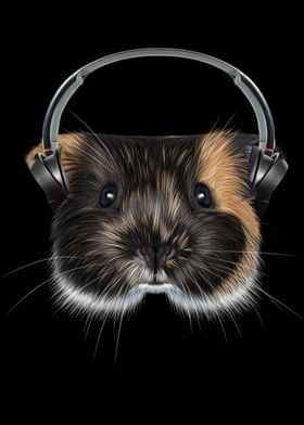 Guinea Pig With Headphones