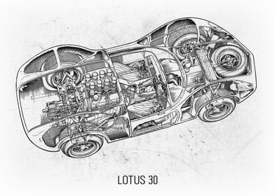 Lotus 30