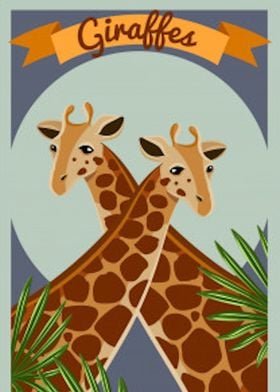 Giraffes