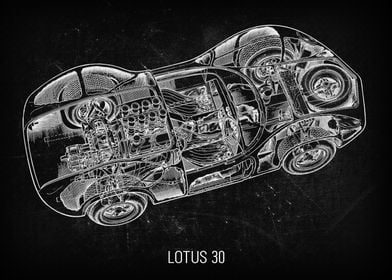 Lotus 30