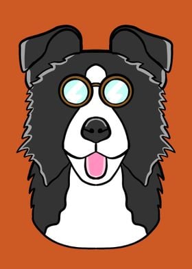 Funny Border Collie dog