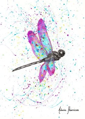 Dancing Dragonfly