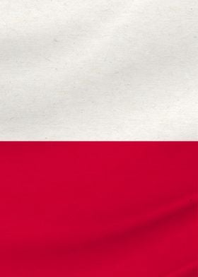 Texas Flag 3 of 3 