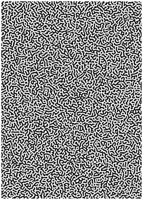 Turing Pattern Black White