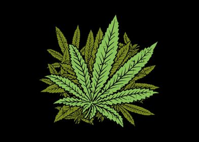 Marijuana Leaves