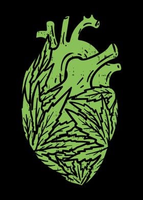 Marijuana Heart