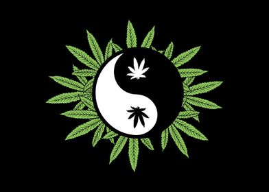 Ying Yang Marijuana