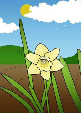 Daffodil Illustration