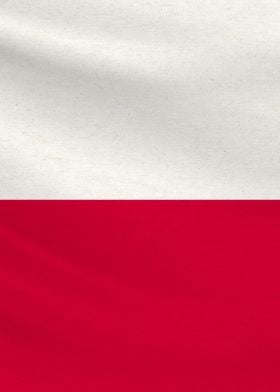 Texas Flag 2 of 3 