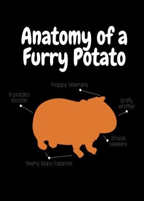 Anatomy Of A Furry Potatoe