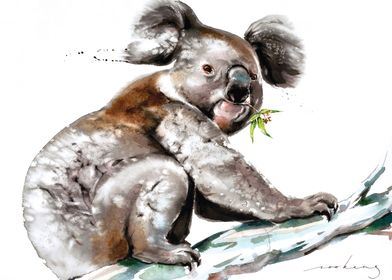 Koala Munch