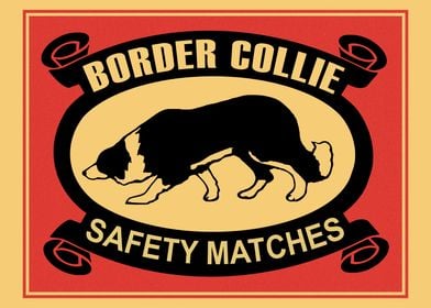 The Border Collie