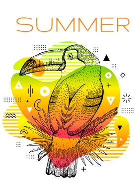 Summer Tucan