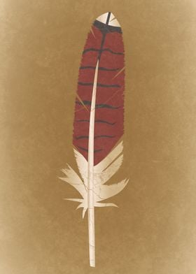 Red Tailed Hawk Feather