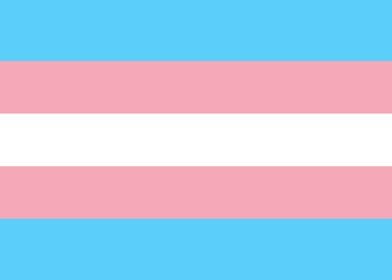 transgender people flag