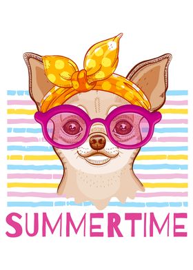 Summertime Chihuahua