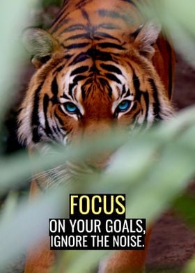Focus on your Goals