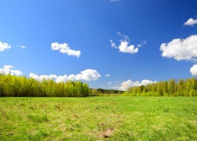 Classical Meadow Landscape