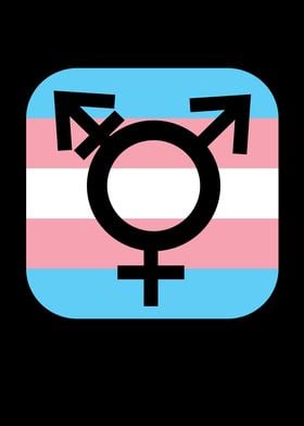 Transgender Pride Flag Gay