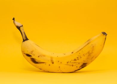 banana art