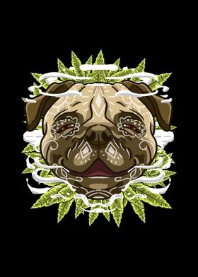 Pug Smoking Weed