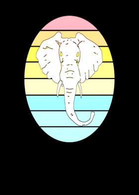 Elephant animal sun