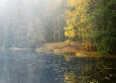 Autumn River Scene In Stro