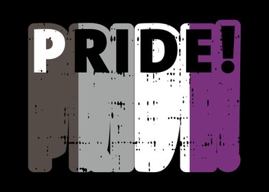 Pride Asexual Flag