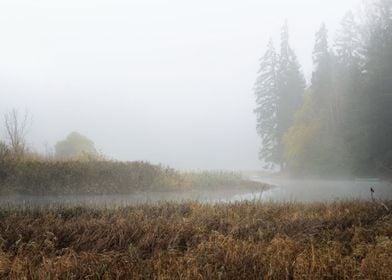 Autumn River Scene In Stro