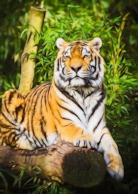 Sitting Tiger In Nature