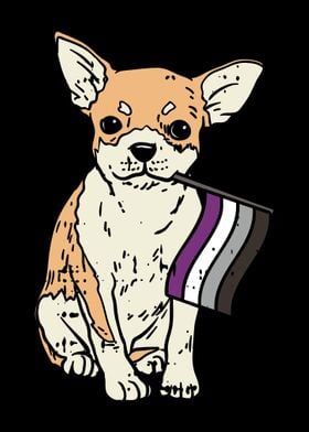 LGBT Chihuahua Asexual