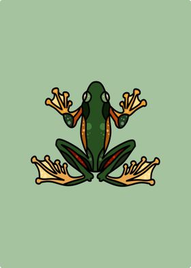 Frog in flat lay