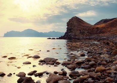 Backdrop Background Beach 