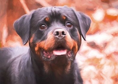 Rottweiler