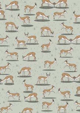 Springbok Pattern