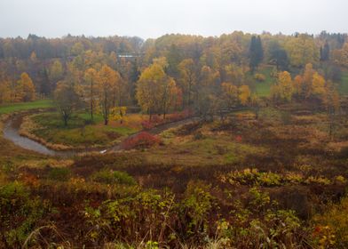 Autumn Forest River Landsc