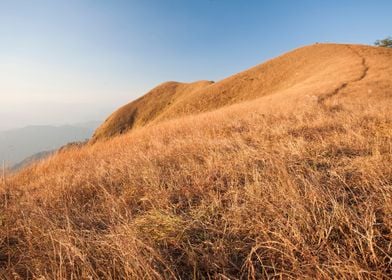 Straw Area Autumn Beautifu