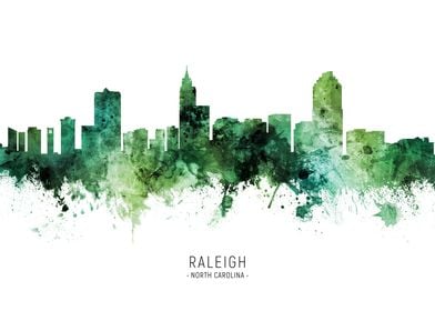 Raleigh Skyline