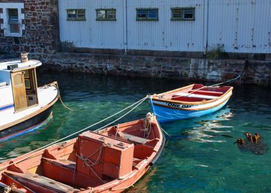 Boats at Simons Town Bay