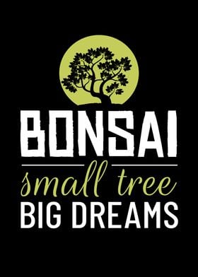 Bonsai Small Tree Tree Zen