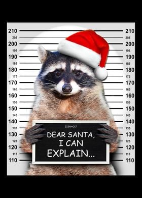 Dear Santa I Can Explain F